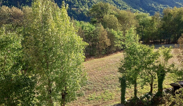 Mountain house with garden