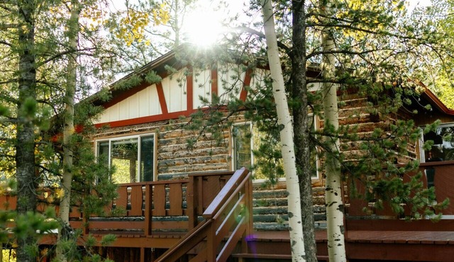 Mountain Haus - Cozy Pet Friendly Cabin with Views, Hot Tub & Fire Table