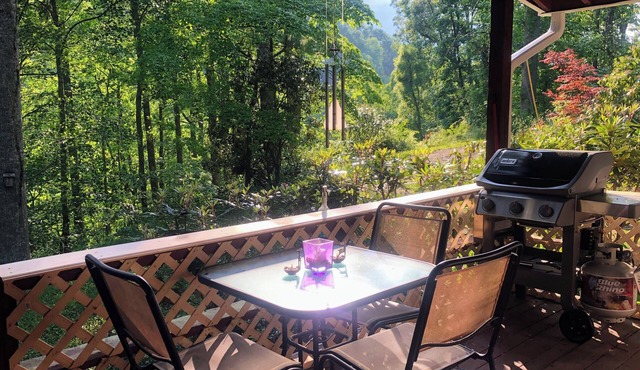Mountain hideaway w/hot tub and game room. Pet-friendly and close to town