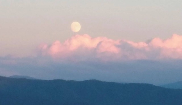 MOUNTAIN HIGH CABIN! Views from TN to NC! HOT TUB, SECLUDED, AND WIFI!