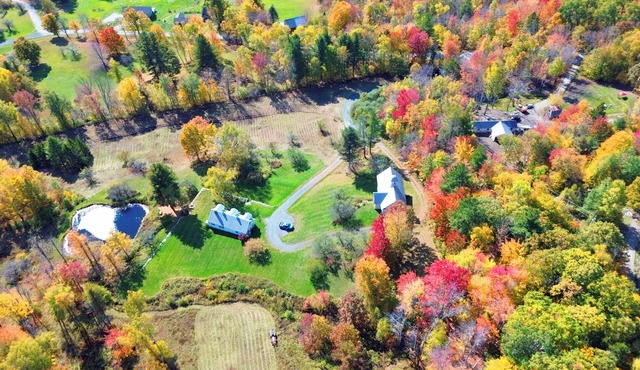 Mountain Hilltop Retreat: Cozy 2-bedroom cottage in serene Bridgewater with AC