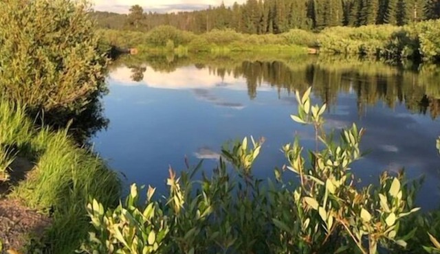 Mountain Home Getaway in Crystal Lakes