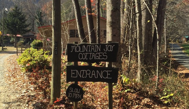 MOUNTAIN JOY COTTAGE #8 - LITTLE BEAR