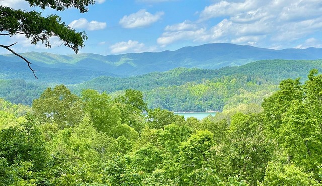 Mountain-lake view. Hike, winery water sports In Bear Paw. New & handicap kind.