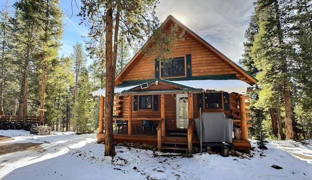 Mountain Log Home-Among Lodgepole Pines
