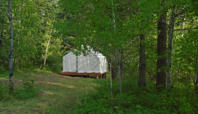 Mountain Man Wall Tent campsite 5 Caribou Trail Wagon Camp