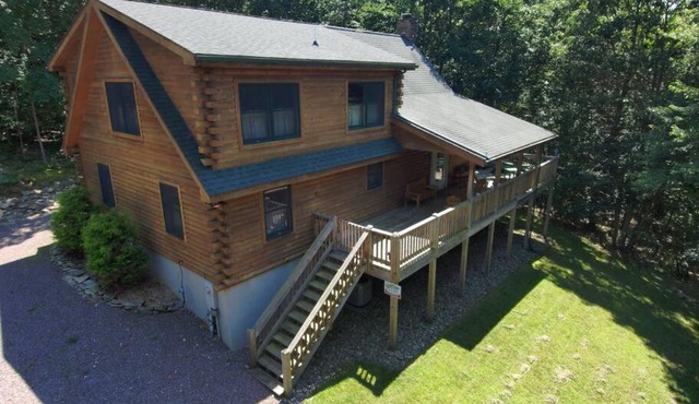 Mountain Maryland! Bear in the Woods