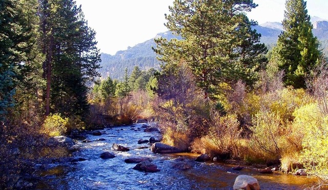 Mountain Masterpiece - Beautiful Cabin On 2.2 Acres At Wildbasin 3 Bedroom Cabin