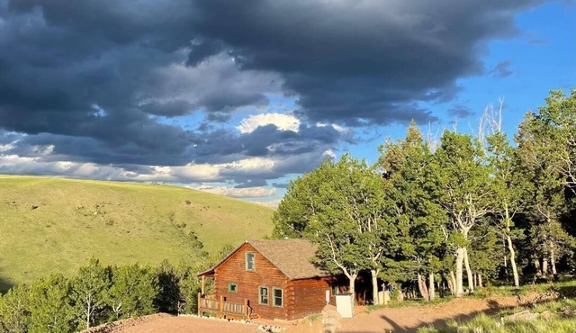 Mountain Meadow Cabin in Cotopaxi on 40 acres