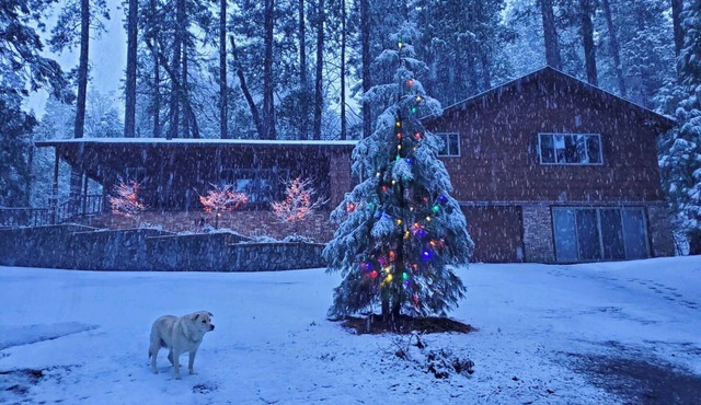 Mountain Meadow View Retreat