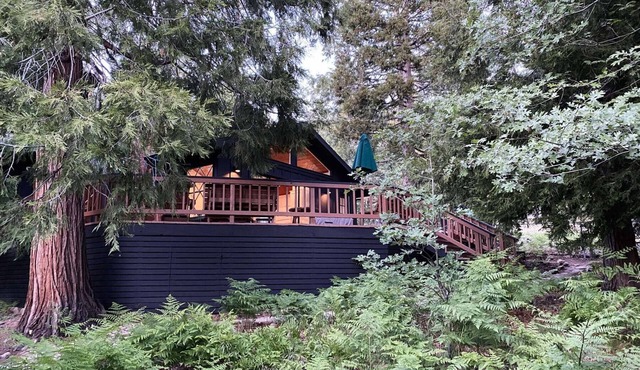 Mountain mod cabin w/EV charging - Fernwood