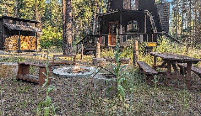 Mountain Modern Cabin on Goose Creek w/Easy Access to Brundage!
