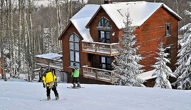 Mountain Near - Slopeside to Salamander ski trail in Timberline, game room, hot tub, air-conditioned and pet friendly