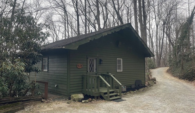 Mountain Resort Cabin with outdoor gas firepit, and mountain stream!