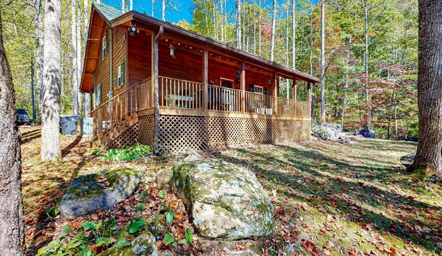 Mountain retreat with breathtaking views, dog friendly