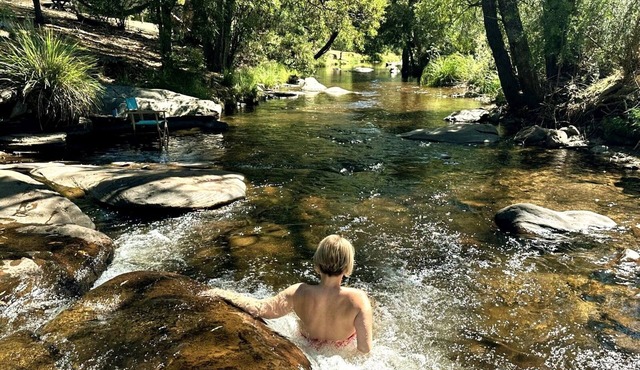 Mountain River House - River Front, 15min to Buller National Park.