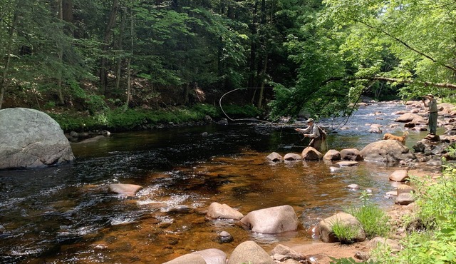 Mountain River Log Cabin on Otter Creek Scenic Natural Soaking Pool