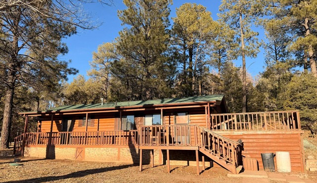 Mountain Runway Lodge Retreat Cozy 3-bedroom cabin