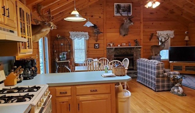 Mountain sanctuary. 3 bedroom country getaway in the Poconos. 18+ acres