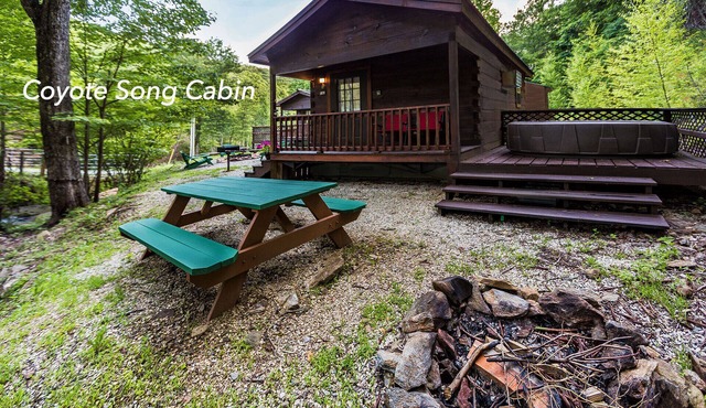 Mountain serenity close to hiking, rafting, fishing and kayaking. "Coyote Song"