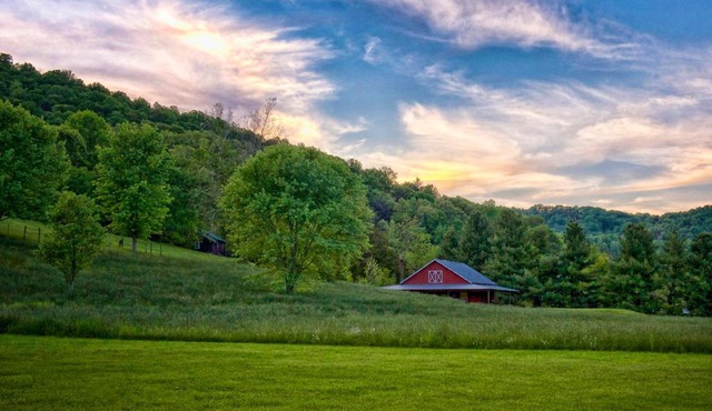Mountain Springs Cabins