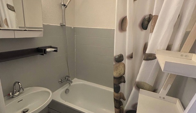 Mountain studio for 3 near Morzine