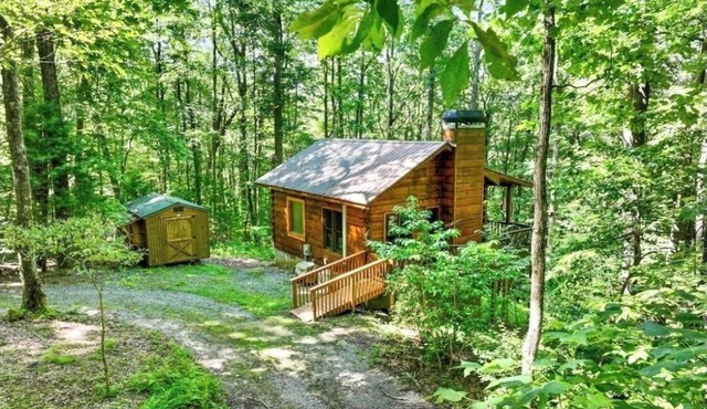 Mountain Top cabin when you need a break from EVERYTHING! Last min ok. No min nt