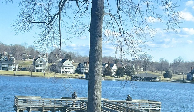 Mountain Tree House within minutes to Smith Mountain Lake