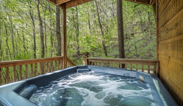 Mountain Tyme, Hot Tub, Pool Table, Game Room, $560 FREE tickets each paid day!
