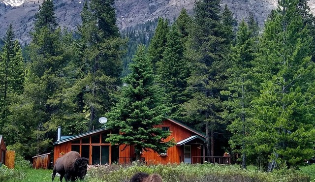 Mountain View House Right on Soda Butte Creek