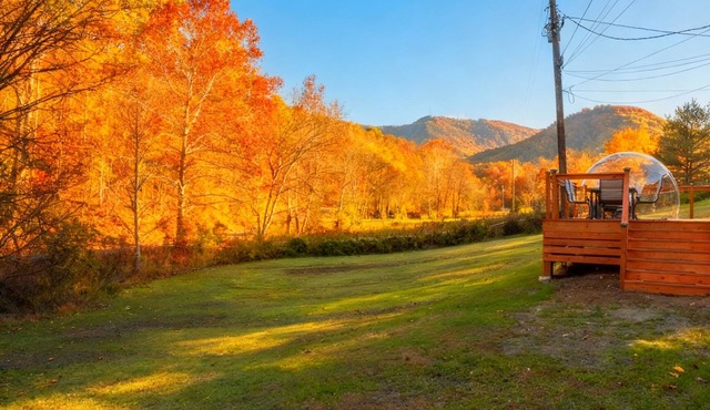 Mountain Vibes: Hot Tub/Dome/Mini Golf/Theater & Games/Pet Friendly/Large Yard