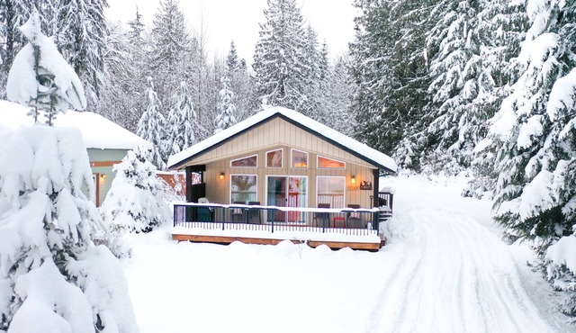 Mountain Vibes, Starry Skies, Fireside Chats at Woodland Bungalo
