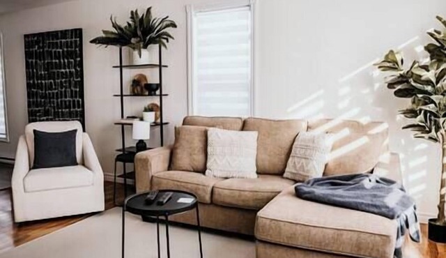 Mountain View 1 for professionals