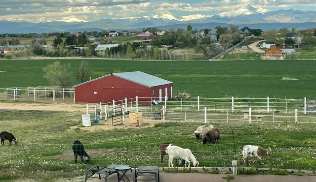 Mountain View Acres Guest Suite