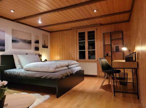 Mountain View Apartment in Leissigen by Interlaken
