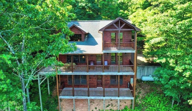 *Mountain View* Bear Pause Mineral Bluff GA - Blue Ridge GA - East TN - West NC