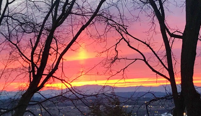 Mountain view & city lights.Close to Bristol, Jonesborogh, Gatlinburg, B&B type