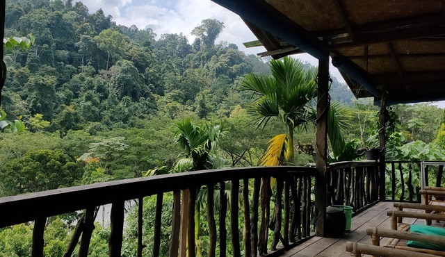 Mountain View Cottages & Villa Tangkahan