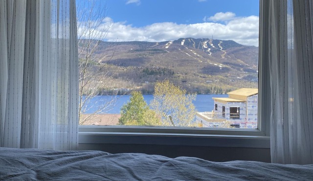 Mountain view fully renovated 6-8 people condo,pet friendly