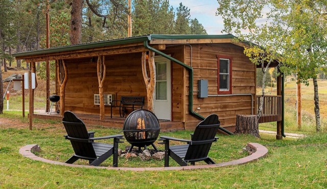 Mountain View Gem: Firepit + Sauna + Enjoy Wildlife