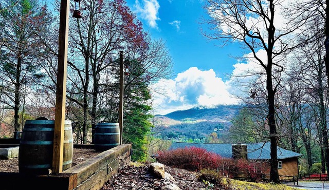 Mountain View Home Hot Tub, Game Room, Fire Pit, Pizza Oven