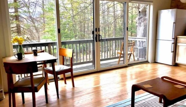 Mountain view, mid-century style, 1 mile to town!