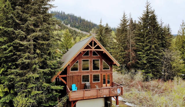 Mountain View Ski House - Spacious Luxury View Home, 10pp, Ski & Sled Nearby