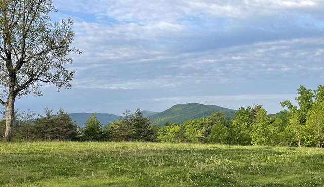 Mountain View Tiny House in Golf Capital of TN
