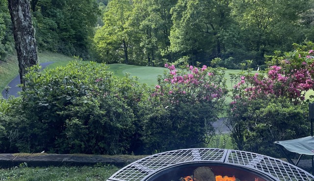 Mountain Views and Tranquil Sounds of the South Toe River