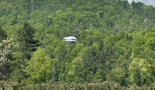 Mountain View’s, dual water fall Koi pond and private theater.