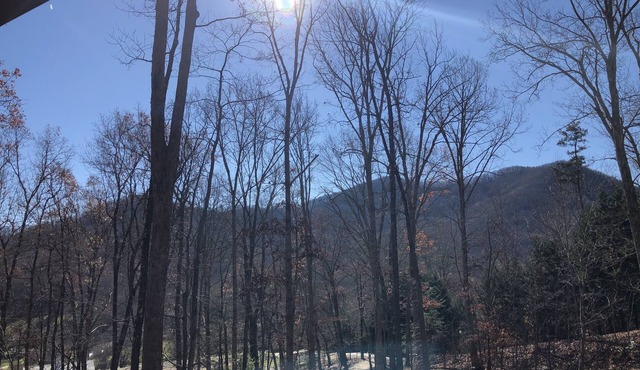 Mountain Views, Fire Pit, Minutes From Downtown Asheville