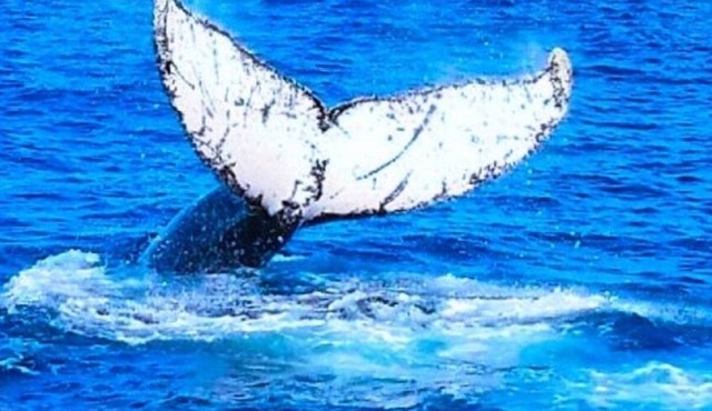 Mountain Views near the Sea