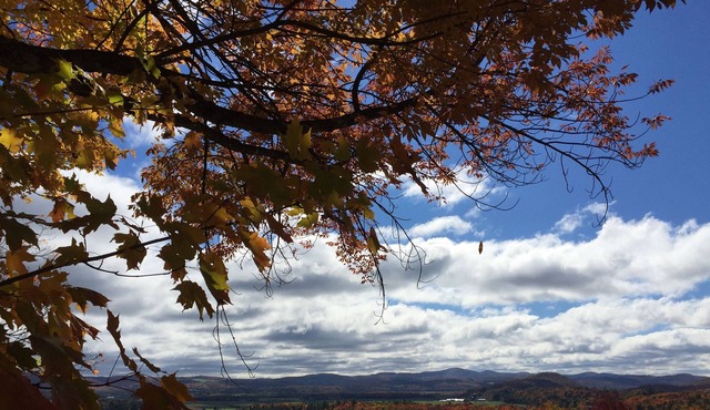 Mountain views - peaceful small ranch on 5 acres