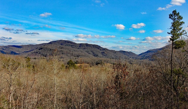 Mountain Views & Solitude. This is Shadow Ridge. Hot Tub.